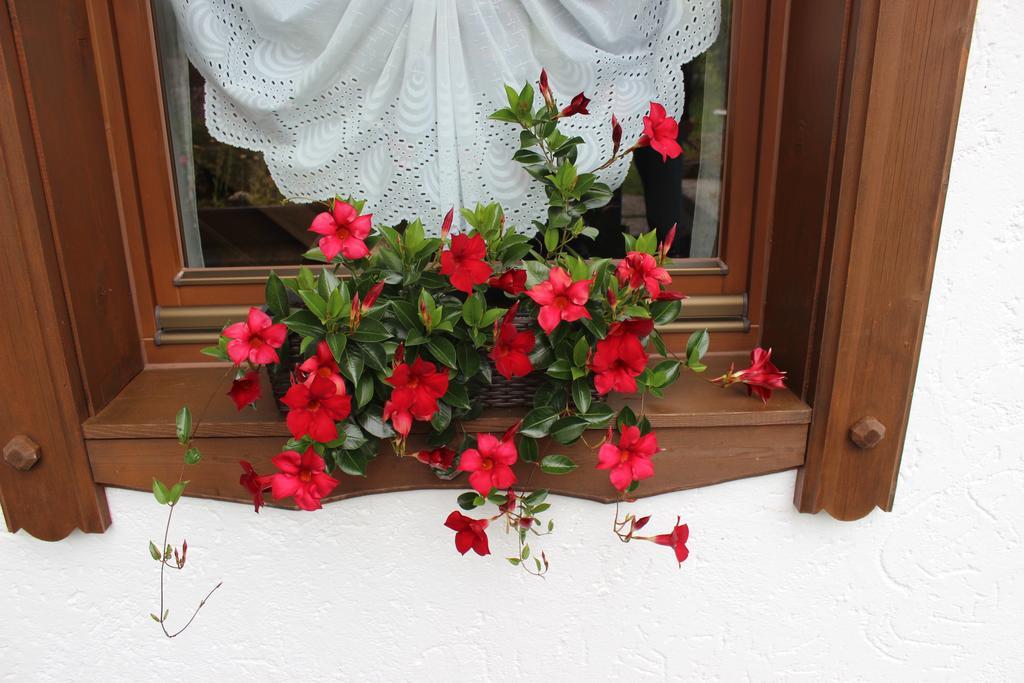 Hotel Haus Almrausch Seefeld in Tirol Pokoj fotografie